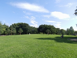 若里公園